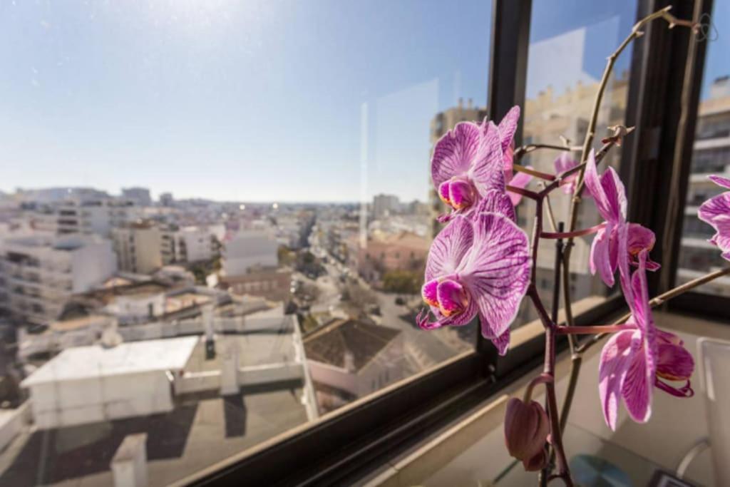 Brigida's Flat District de Faro